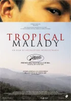 смотреть онлайн Тропическая болезнь (2004) бесплатно в HD 